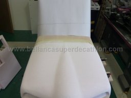 Engine cowl (25)